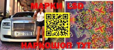 прущие крисы Нальчик