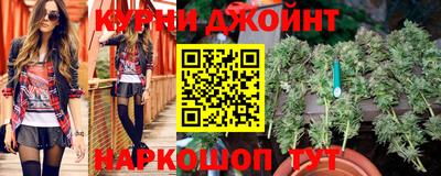 эйфоретик Можга