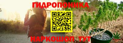 эйфоретик Можга