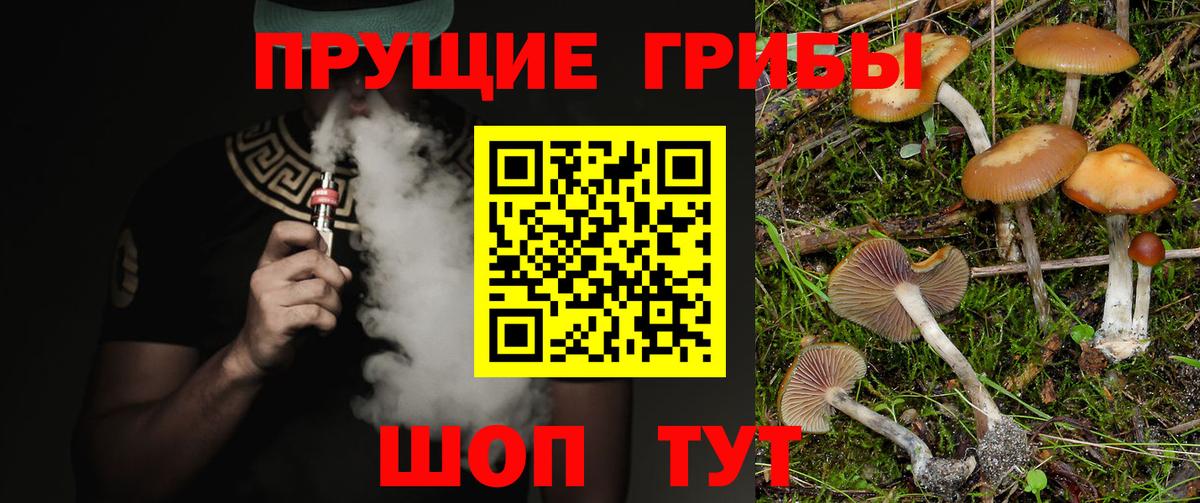 купить   Галлюциногенные грибы Psilocybe  Вход с VPN  Усолье-Сибирское 